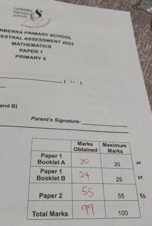 99 marks AL1 primary school math maths mathematics